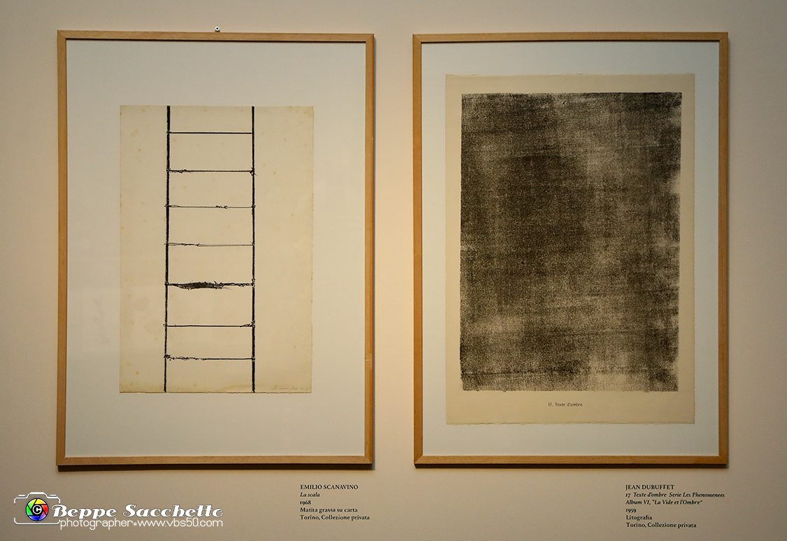 VBS_1199 - Castello di Miradolo - Mostra Oltre il giardino l'Abbecedario di paolo Pejrone.jpg
